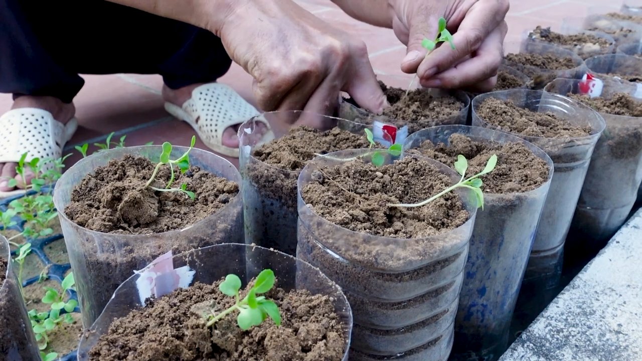 Smarter Indoor Garten Hack