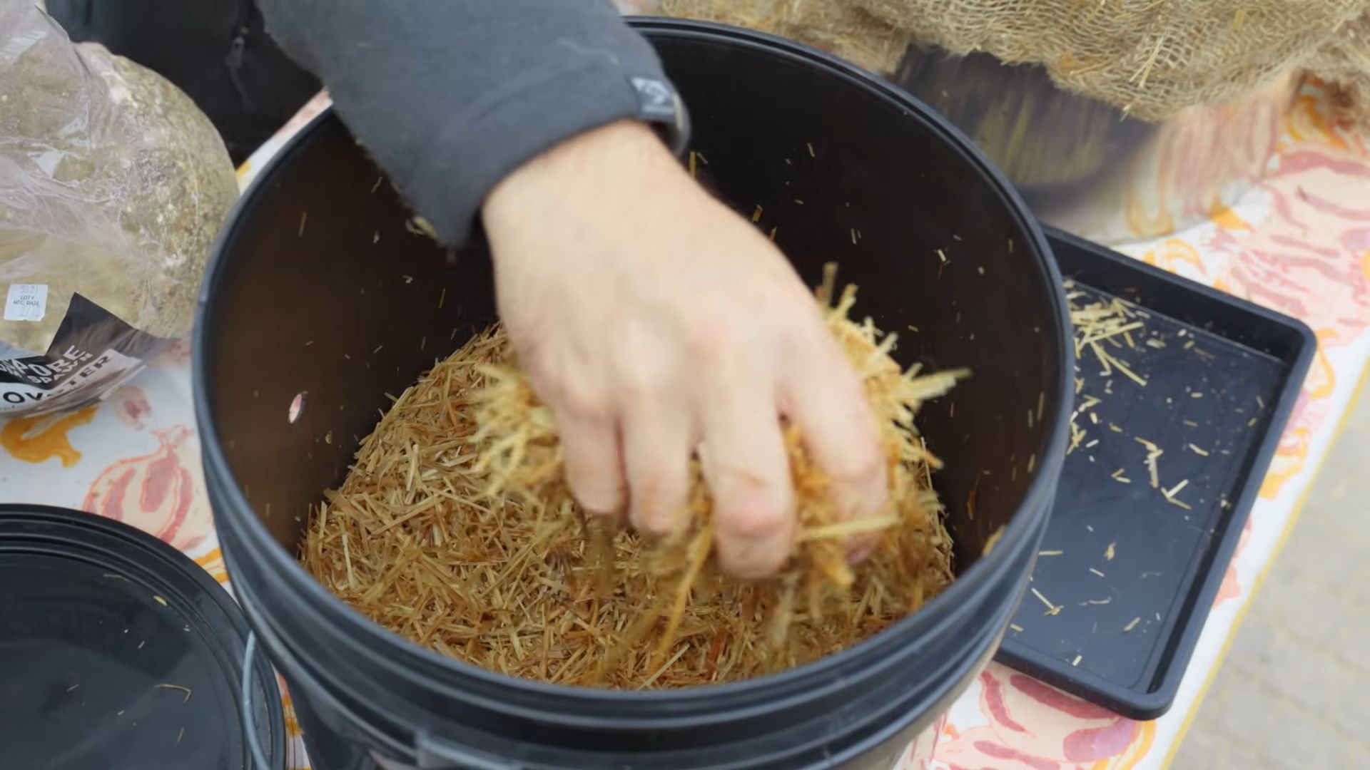 Pilze im Eimer züchten