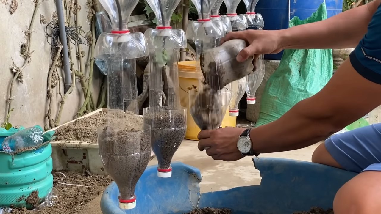 Erdbeergarten aus Plastikflaschen bauen
