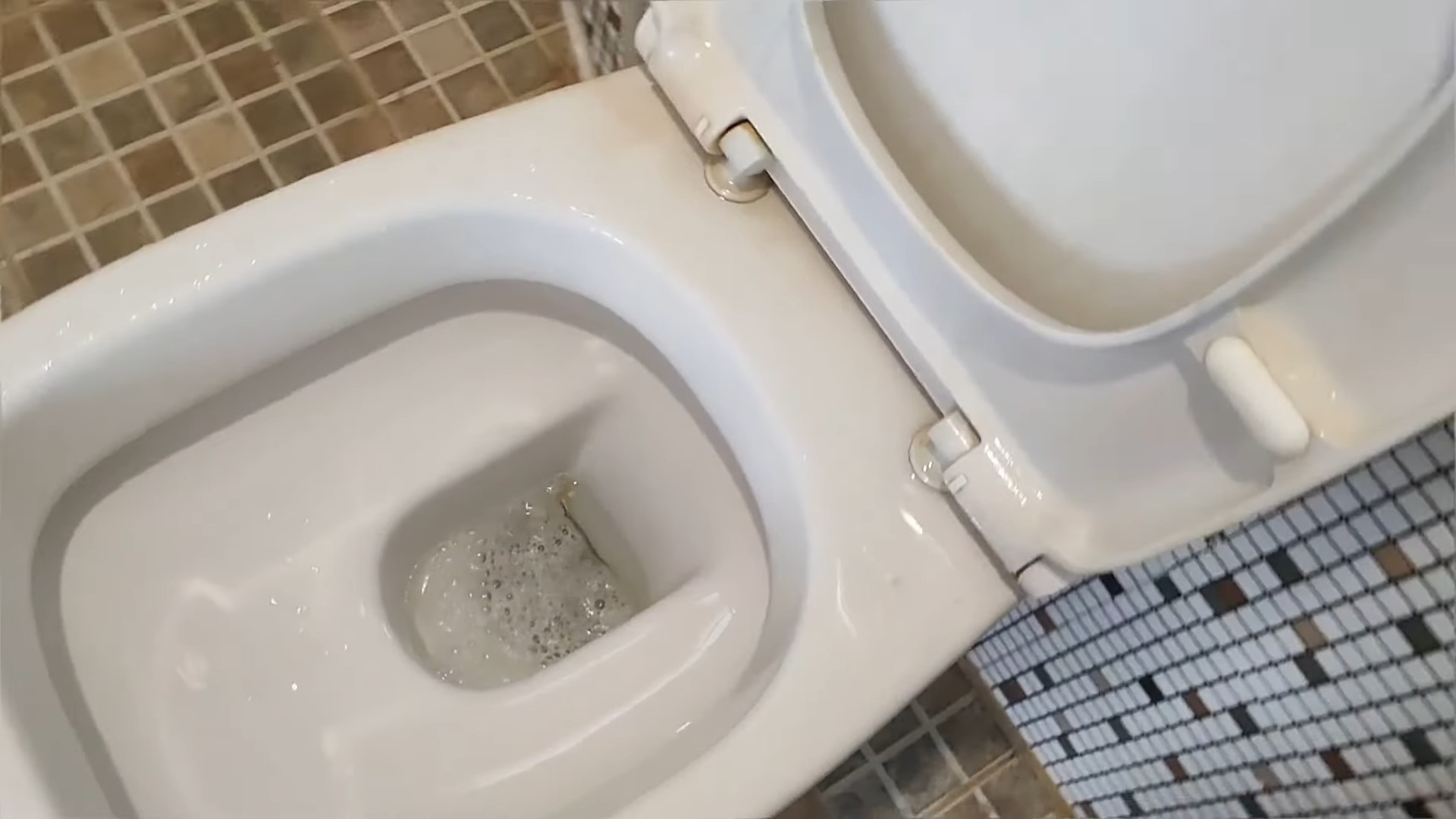 Toilette reinigen mit Harpic
