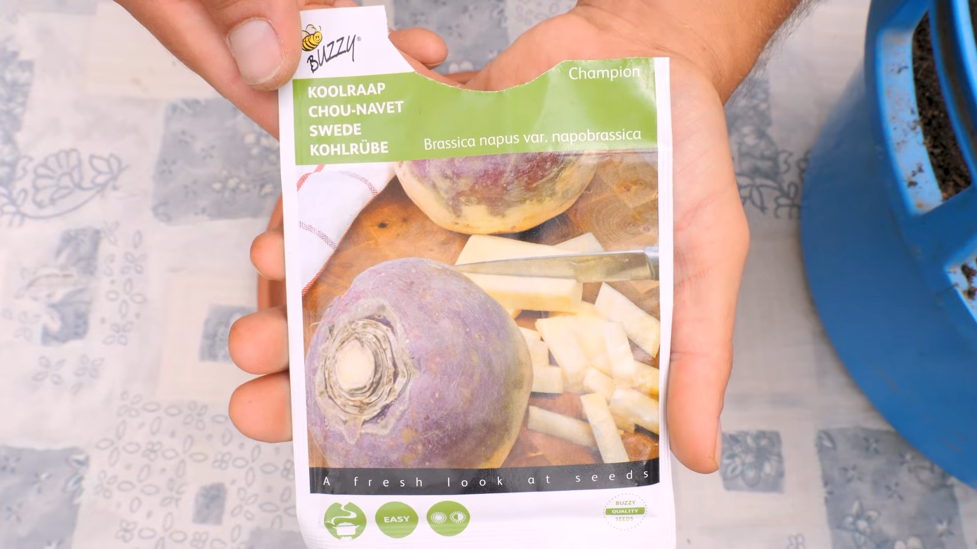 Riesen Kohlrabi selbst anbauen
